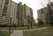 starrett city
